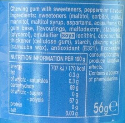 Mentos Gum Peppermint 40pcs