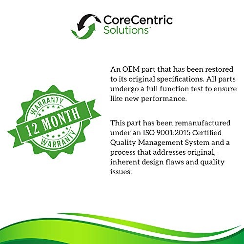 Mentos Gum Strawberry 40pcs