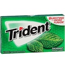Trident 14 sticks gum Spearmint