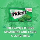 Trident 14 sticks gum Spearmint