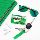 Trident 14 sticks gum Spearmint