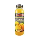 Xtra Orange Nectar 250ML 