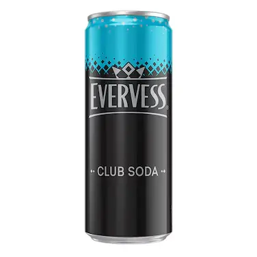 Evervess Soda 250ml